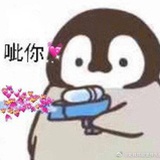 哎呀不想起名字