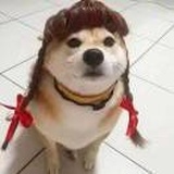 不举铁