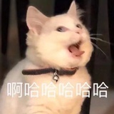 快乐零添加