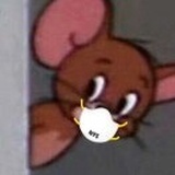 猪睡着了嘛哼哼
