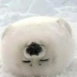 用心生活better