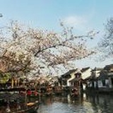 Torres王攀峰