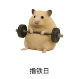 不喜欢糖的小熊