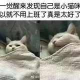漂白境界