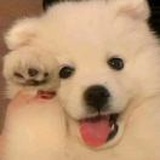 收到请扣1