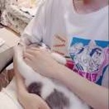 羊习习