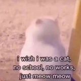 ´･ᴗ･`