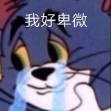 cook