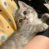 :)
