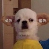 科研民工