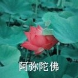 丸