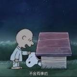 对内向者的偏见