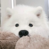豆友220403749