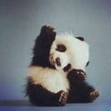 熊熊猫🐼