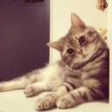 しーちゃん