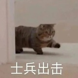 无一不缺