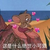 小杨在这里啊