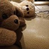 丹华抱一