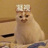 任先生的歌迷