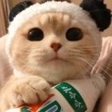 栖隐
