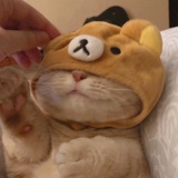 小顾💕