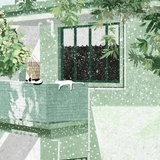佛溜溜