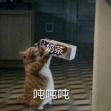 对外汉语小圆脸