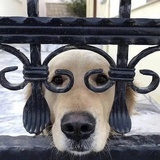 百年孤独
