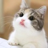 还魂香