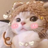 i奶茶星人