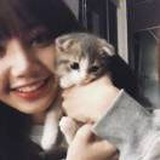 momo
