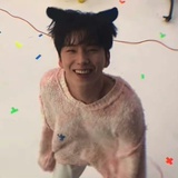 捕鼠达人
