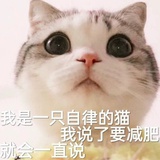 豆友220696091