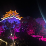 是你脸妹呀