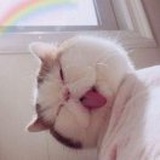 。