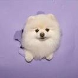 救赎