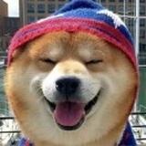 呜啦啦哇咔咔