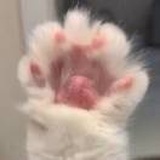 取名废