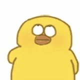 Kay