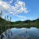 零零柒