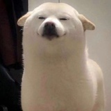 豆友220868298
