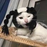 快乐小秋