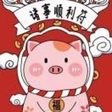 飞奔的北极企鹅