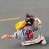 小刘小刘片甲不