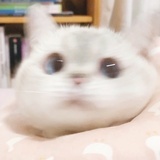 ngHFtjakysj