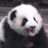 哈哈