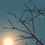 iC_bubble