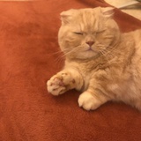 豆友221014641