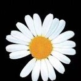 བུ་ཁེར་སྐྱེས