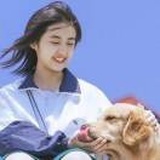 拾柒
